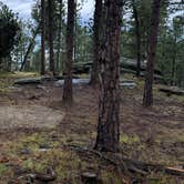 Review photo of Fishy Wilderness by Name , August 16, 2026