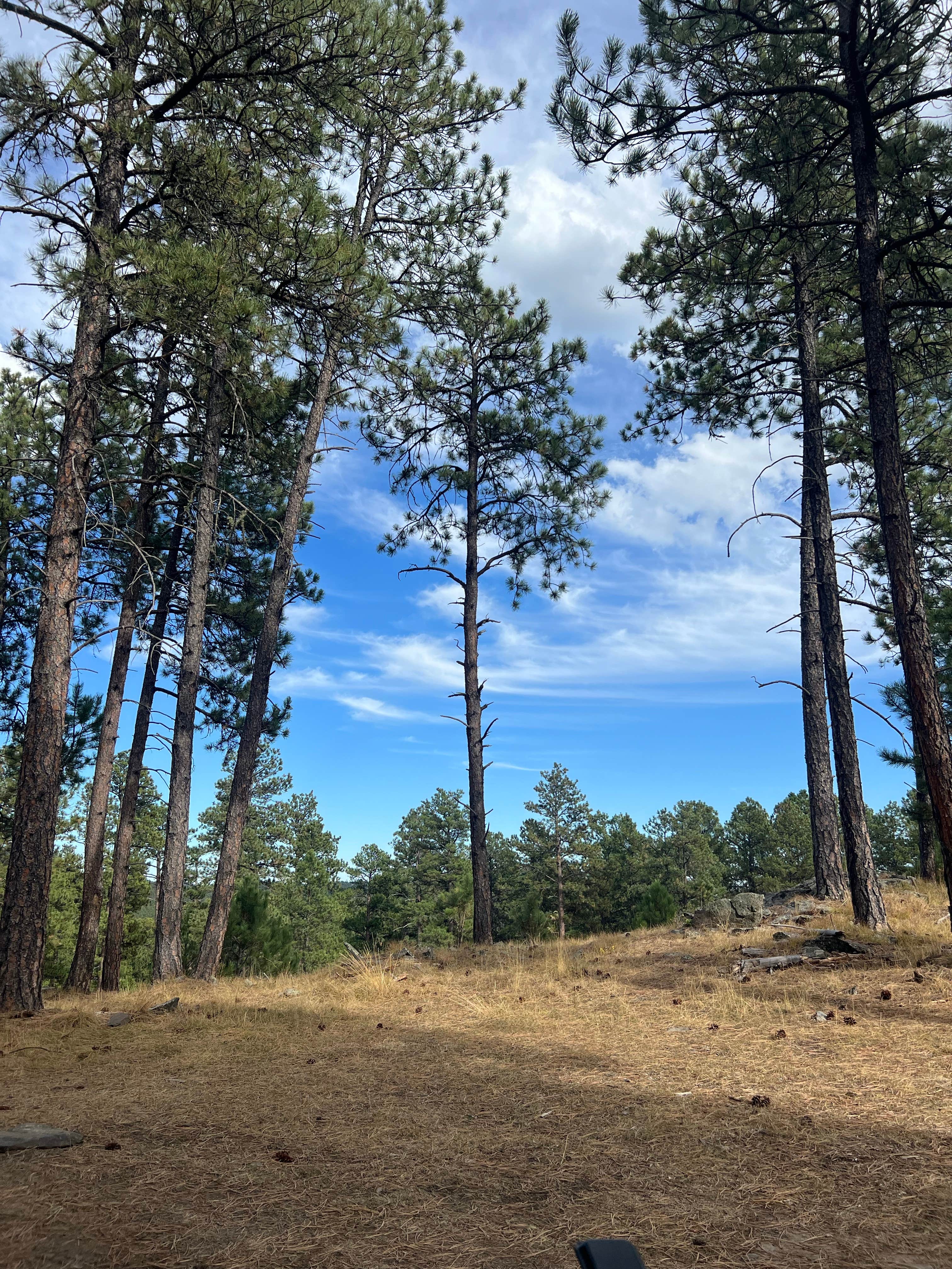 Camping near Horsethief Lake Campground: Fishy Wilderness, Hill City, South Dakota