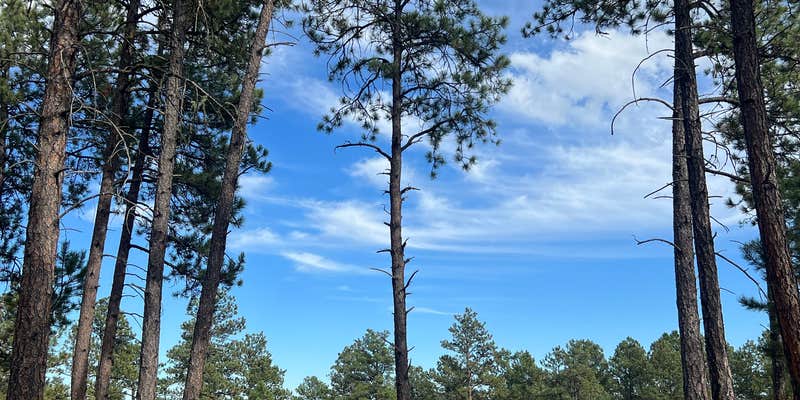 Camper submitted image from Fishy Wilderness