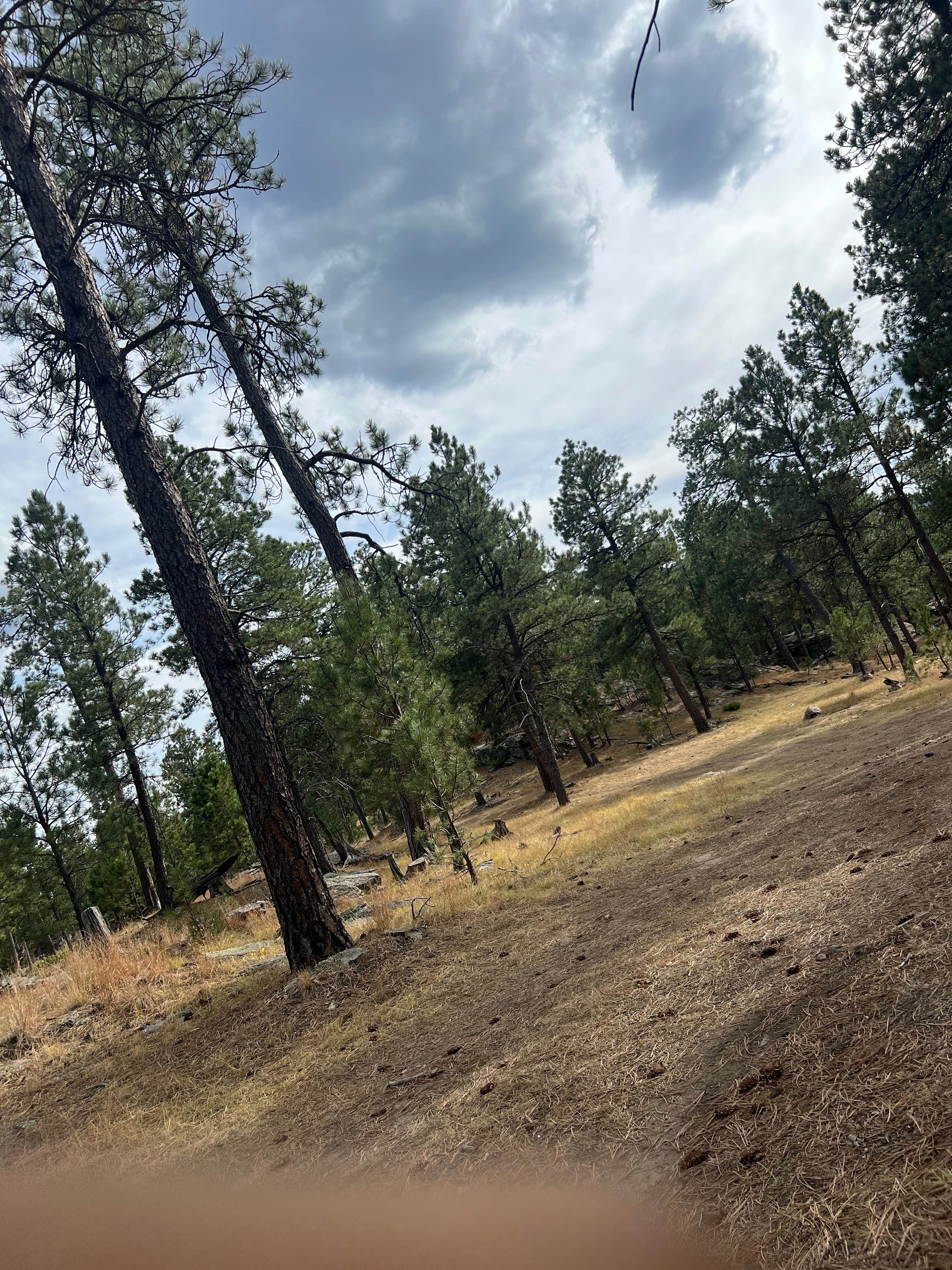 Camper-submitted photo at Fishy Wilderness near Keystone, SD