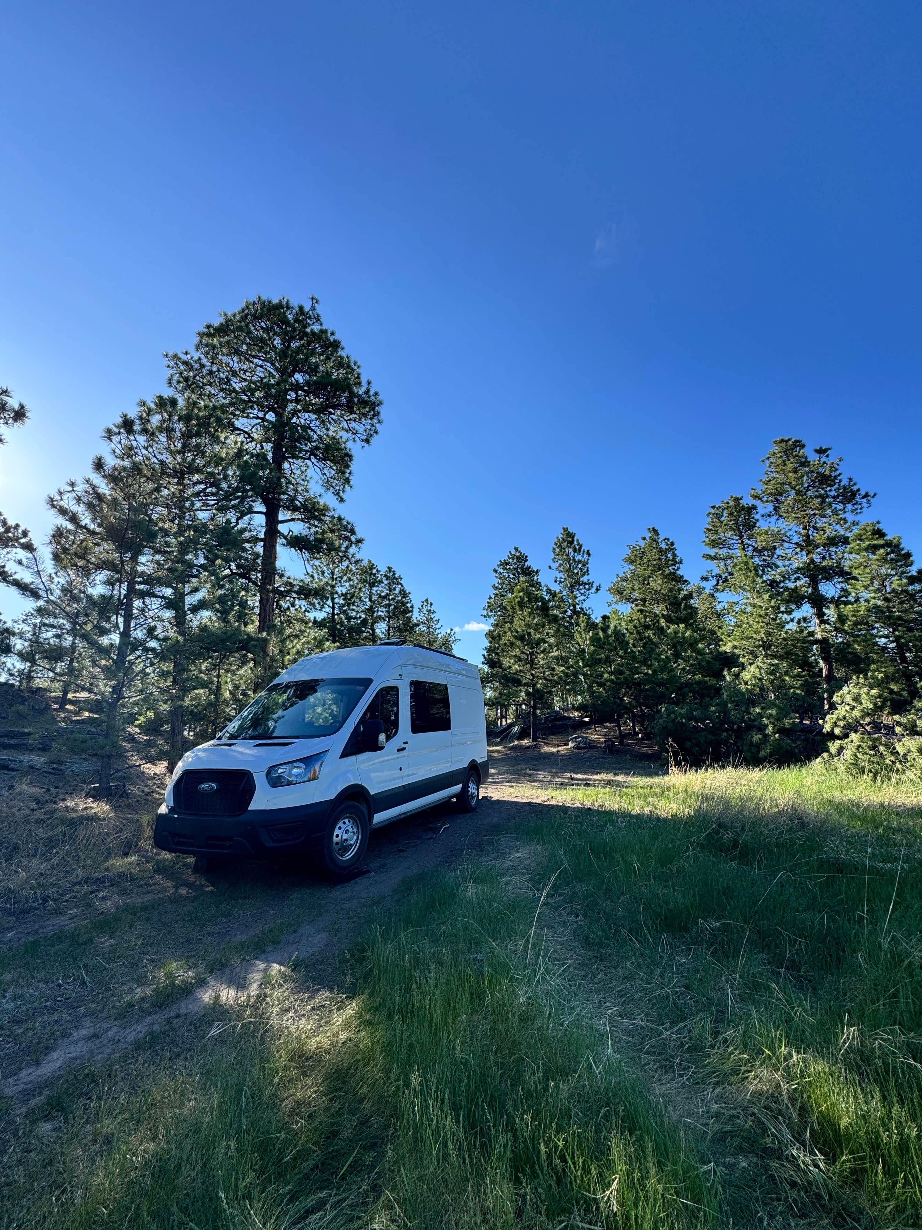 Camper-submitted photo at Fishy Wilderness near Keystone, SD
