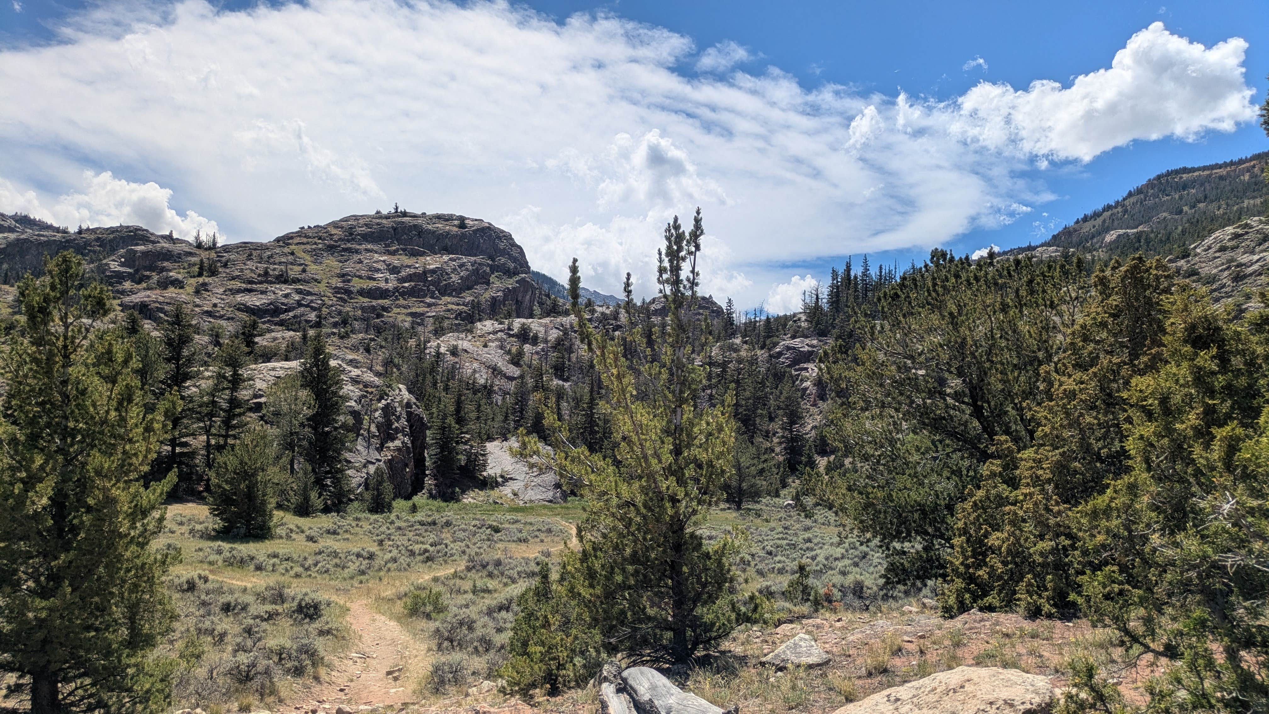 Camper-submitted photo at Fitzgerald wilderness near Dubois, WY