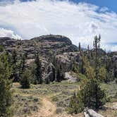 Review photo of Fitzgerald wilderness by Vidalia S., July 8, 2026