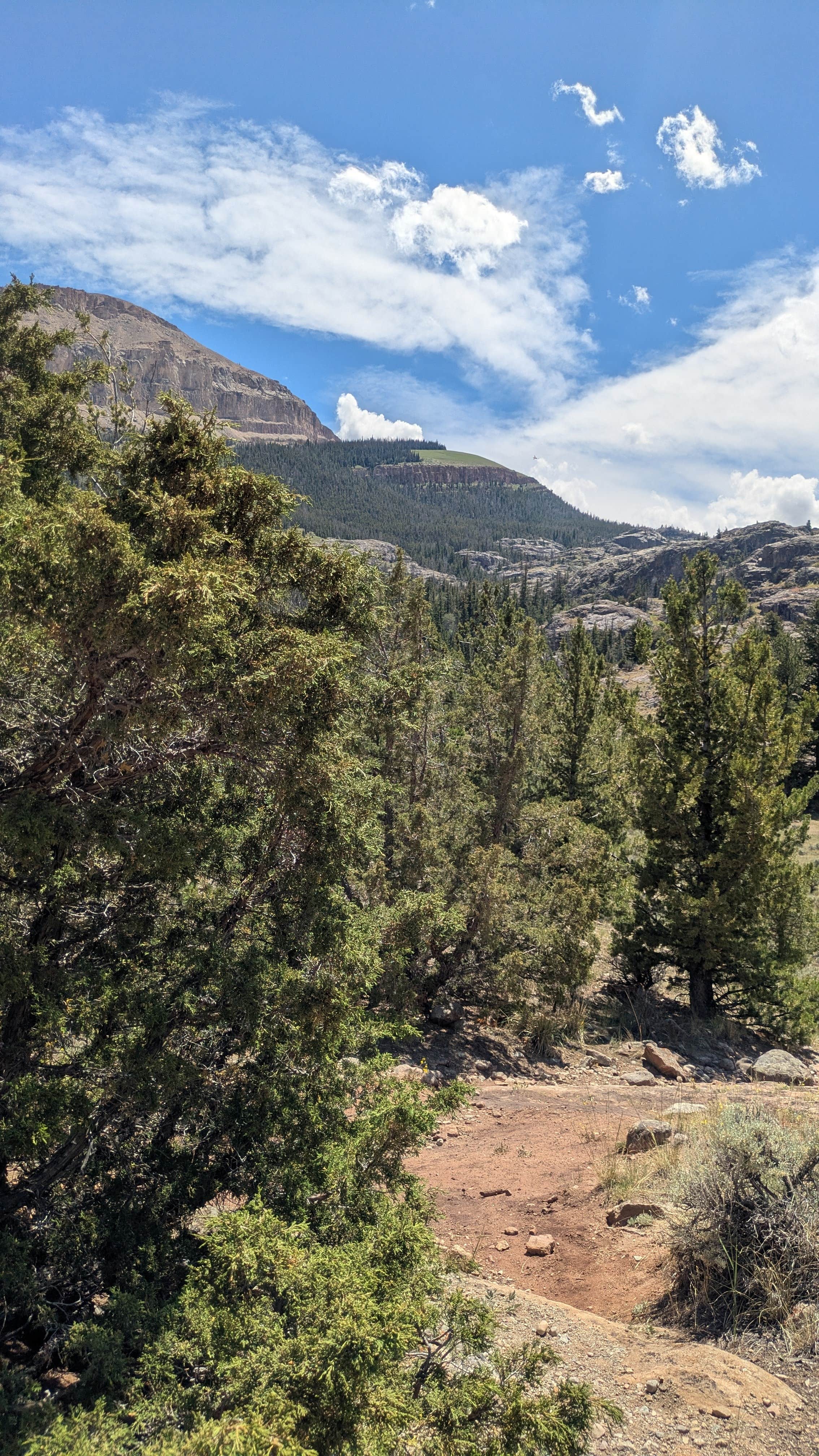 Fitzgerald wilderness