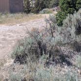 Review photo of Fitzgerald wilderness by Vidalia S., July 8, 2026