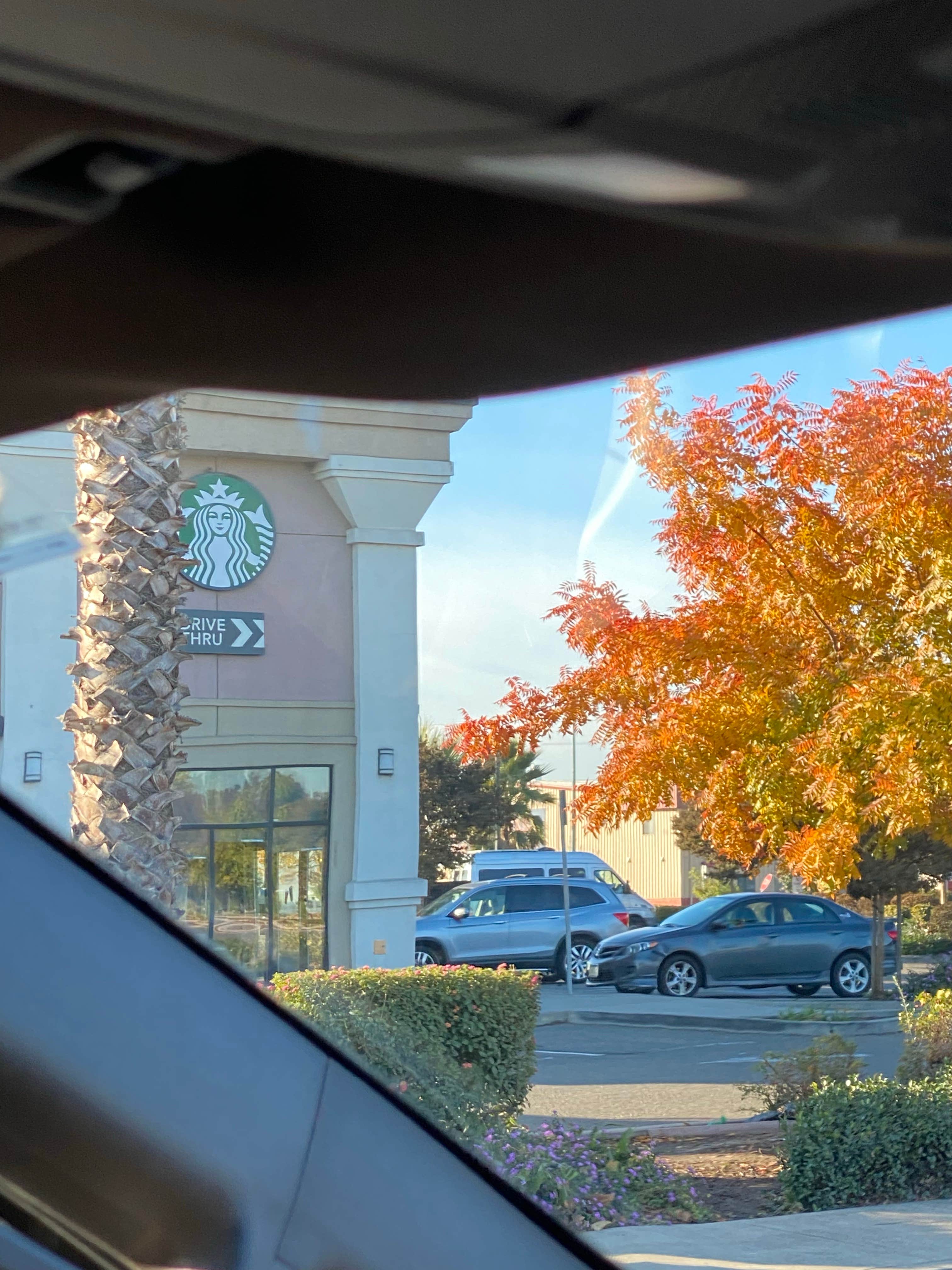 Camper-submitted photo at Flag City RV Resort near Stockton, CA