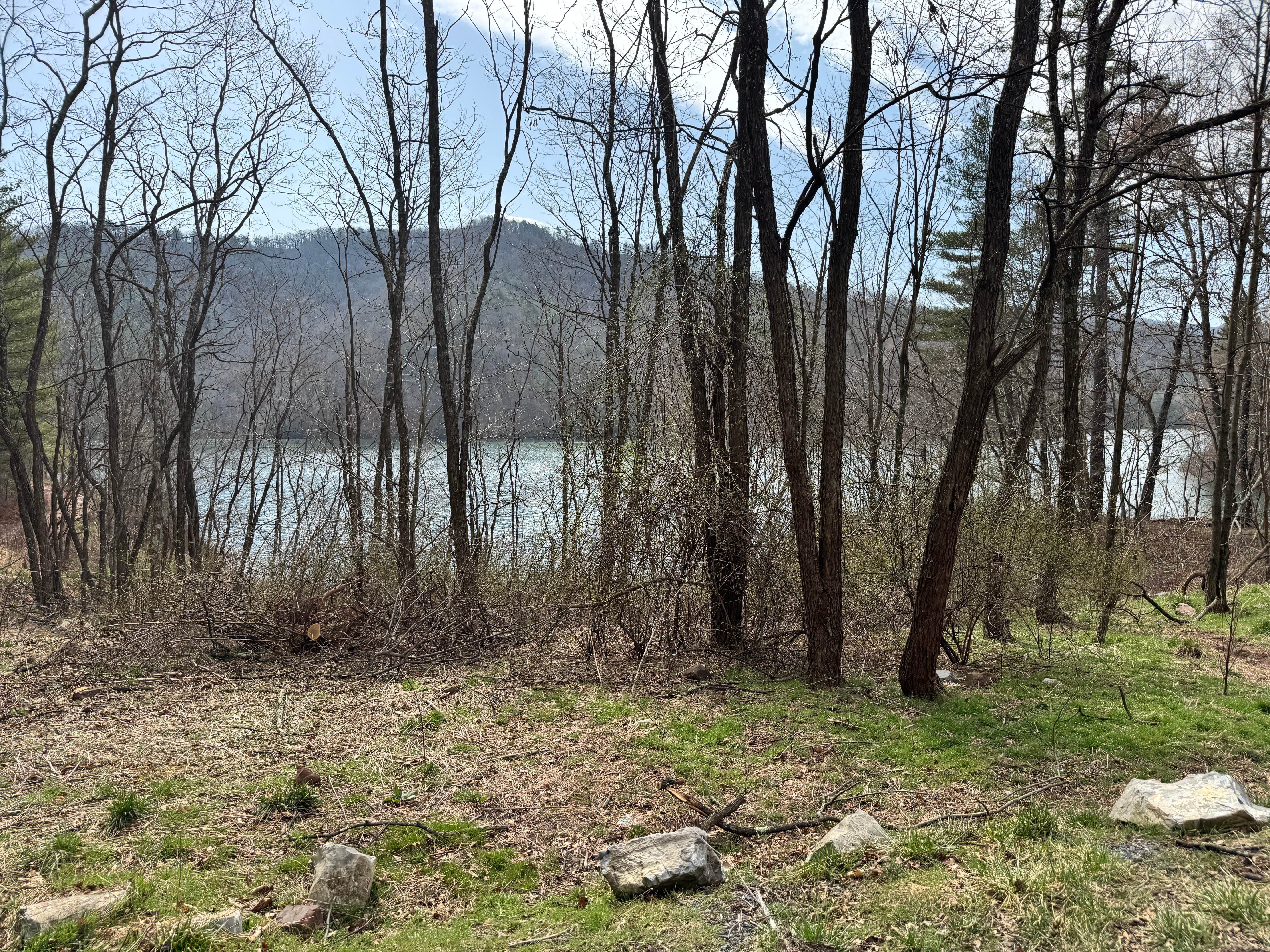 Avory H.'s photo of a dispersed camping area at Flagpole Knob near Craigsville, VA