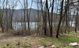 Avory H.'s photo of a dispersed camping area at Flagpole Knob near Red Creek, WV
