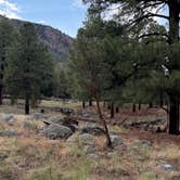 Review photo of Flagstaff KOA by Shawn , August 26, 2025