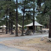 Review photo of Flagstaff KOA by Kim G., October 16, 2025