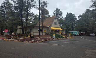 John R.'s photo of camping with pets at Flagstaff KOA near Flagstaff, AZ