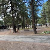 Review photo of Flagstaff KOA by Cassondra P., August 14, 2026
