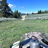 Review photo of Flagstaff Road Dispersed by Madeline O., June 26, 2025