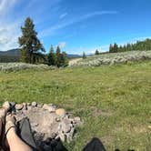 Review photo of Flagstaff Road Dispersed by Madeline O., June 26, 2025