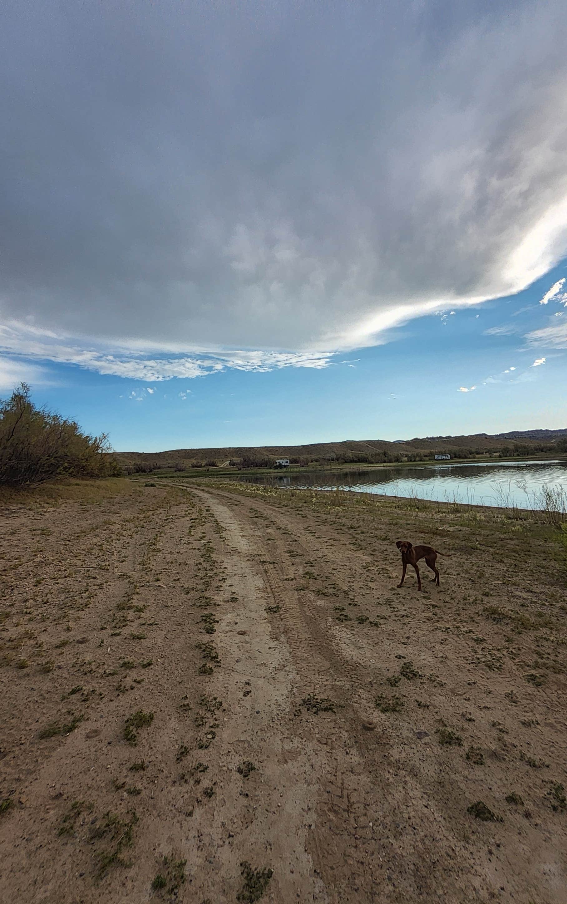 SpentBrassOffroad B.'s photo of camping with pets at Jug Hollow Road - Dispersed Camp near Rock Springs, WY