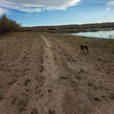 Review photo of Jug Hollow Road - Dispersed Camp by SpentBrassOffroad B., July 15, 2025