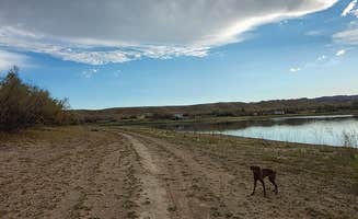 SpentBrassOffroad B.'s photo of camping with pets at Jug Hollow Road - Dispersed Camp near Dutch John, UT