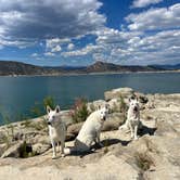 Review photo of Jug Hollow Road - Dispersed Camp by Tera C., July 5, 2026