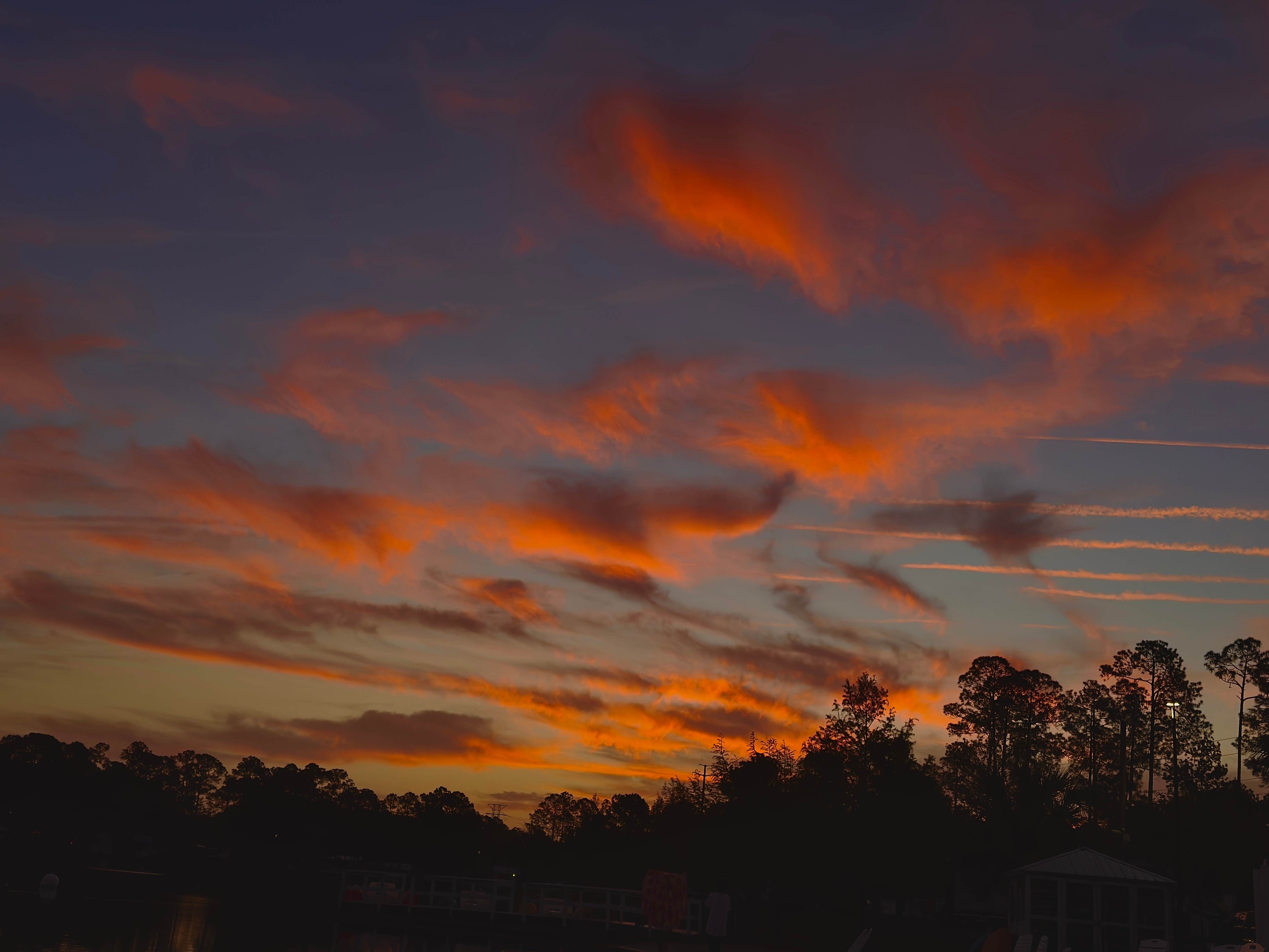 Camper-submitted photo at Flamingo Lake RV Resort near Atlantic Beach, FL