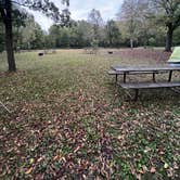 Review photo of Flandrau State Park by Maria D., September 28, 2025