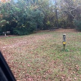 Review photo of Flanners Beach/Neuse River Recreation Area - CLOSED by Roger W., November 19, 2023