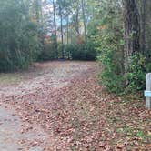 Review photo of Flanners Beach Campground by Roger W., November 19, 2023