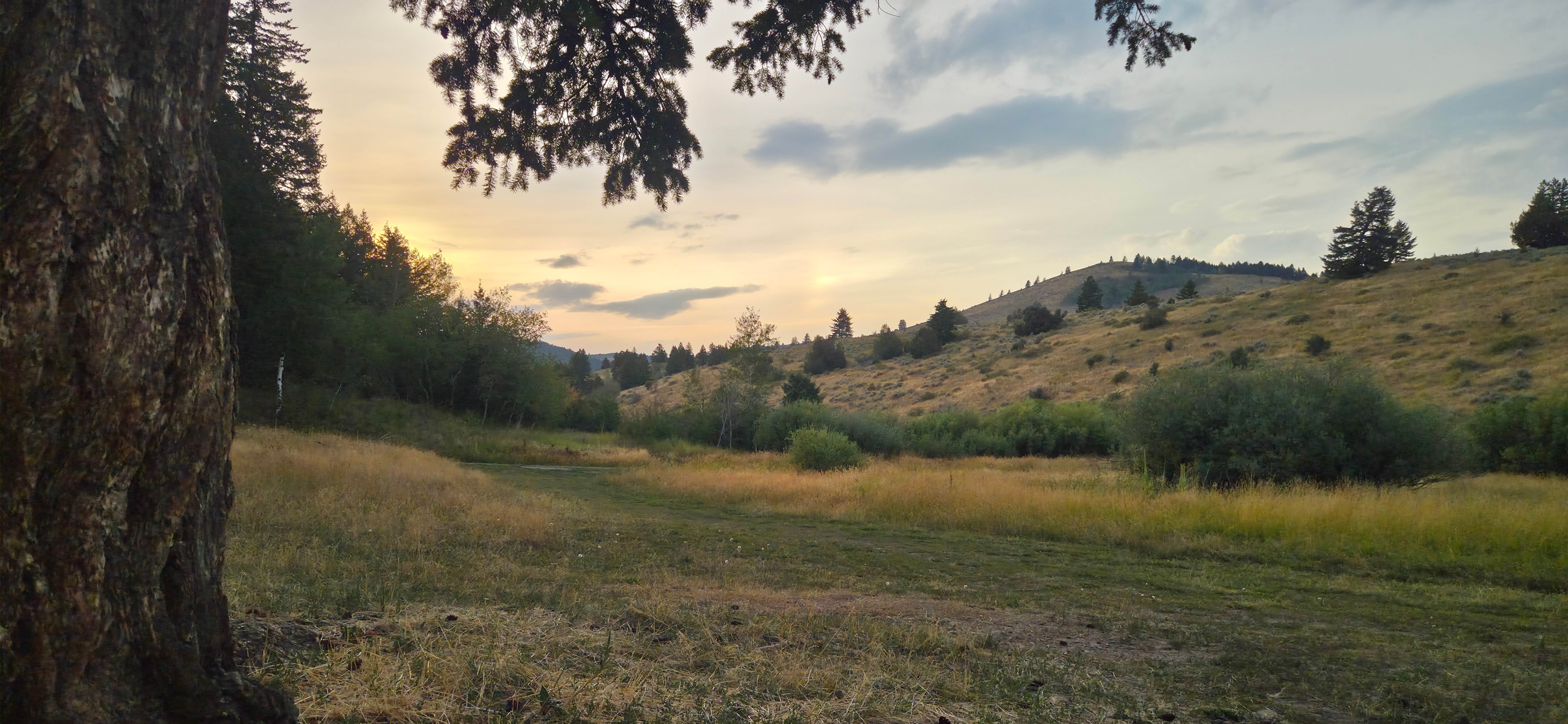 Camping near Bread Loaves Group Campsite — City of Rocks National Reserve: Flat Canyon Dispersed Campground - Sawtooth National Forest, Oakley, Idaho