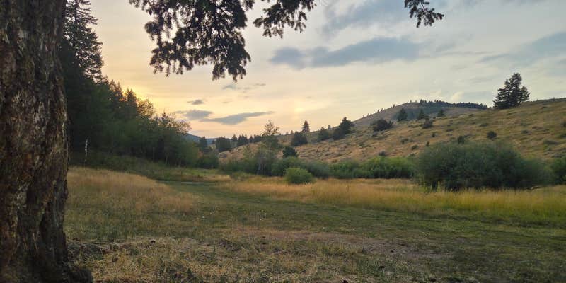 Camper submitted image from Flat Canyon Dispersed Campground - Sawtooth National Forest