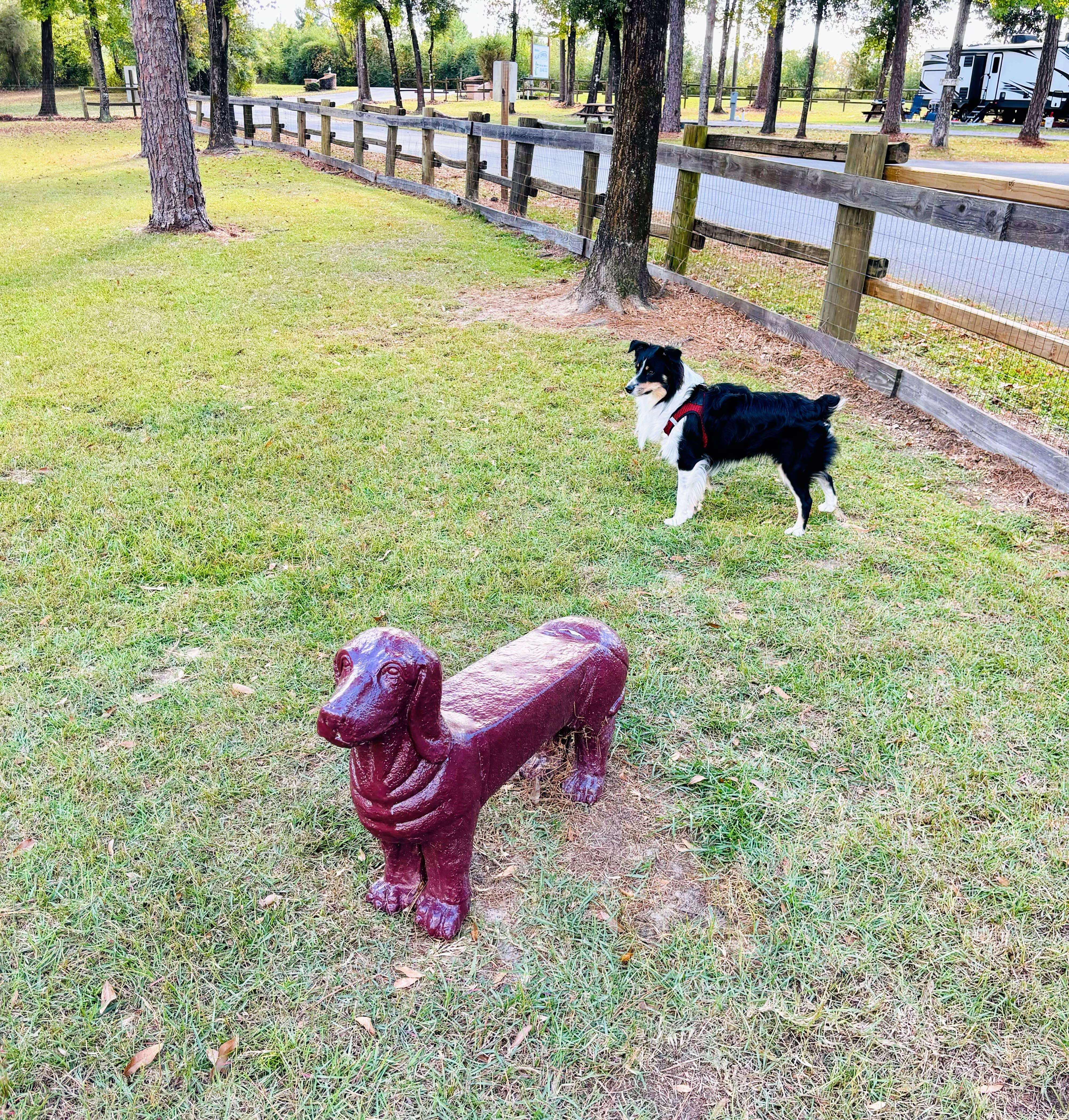 Flat Creek Family Campground