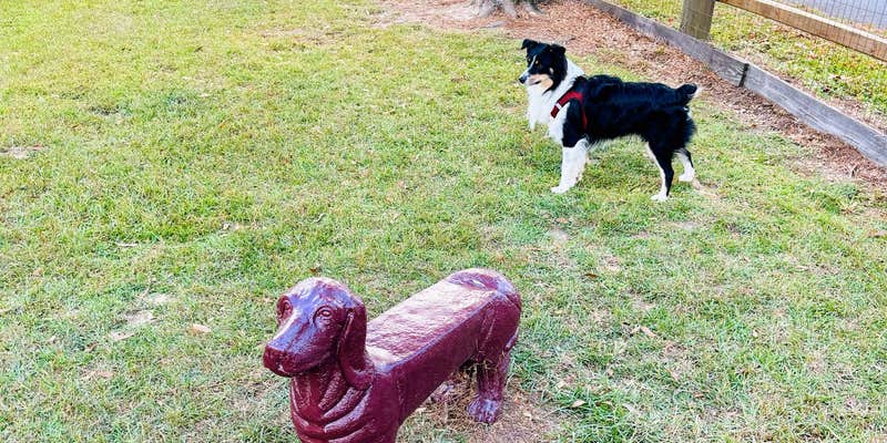 Camper submitted image from Flat Creek Family Campground