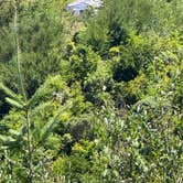Review photo of Flat Hilltop Dispersed Site on China Mountain Road by Ben C., July 11, 2025