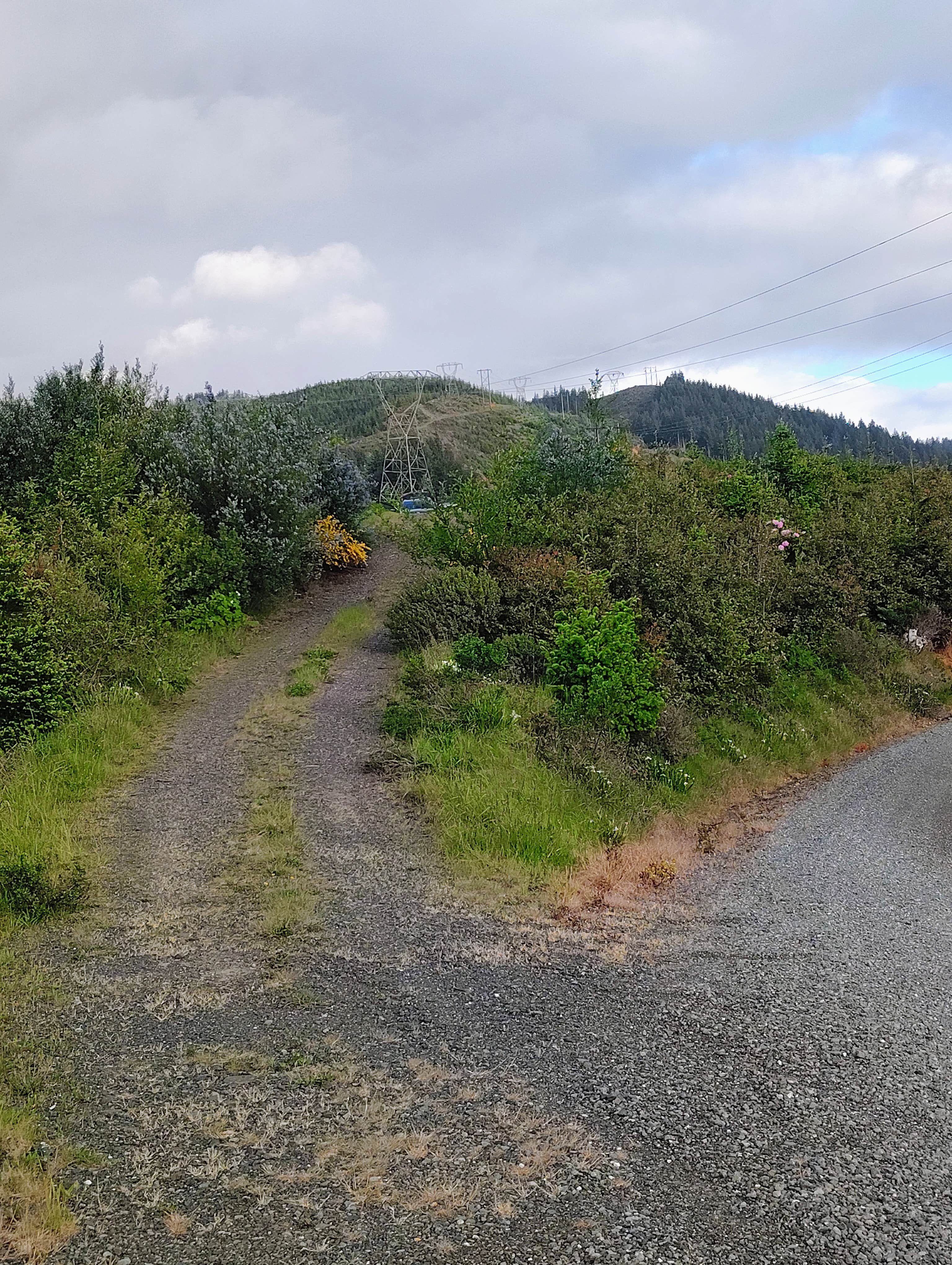 Camper submitted image from Flat hilltop site on China Mountain Road - 2