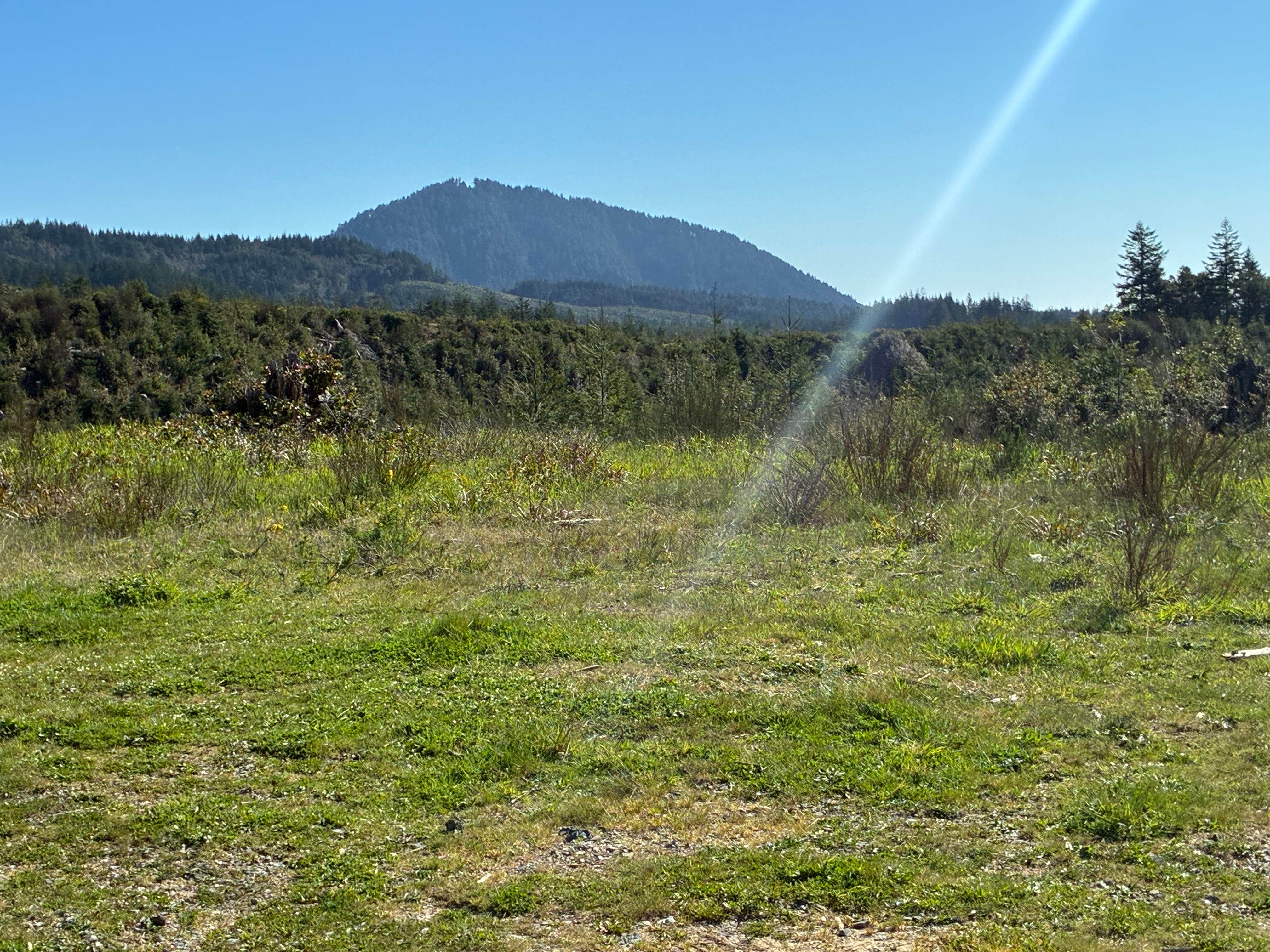 Flat Hilltop Dispersed Site on China Mountain Road