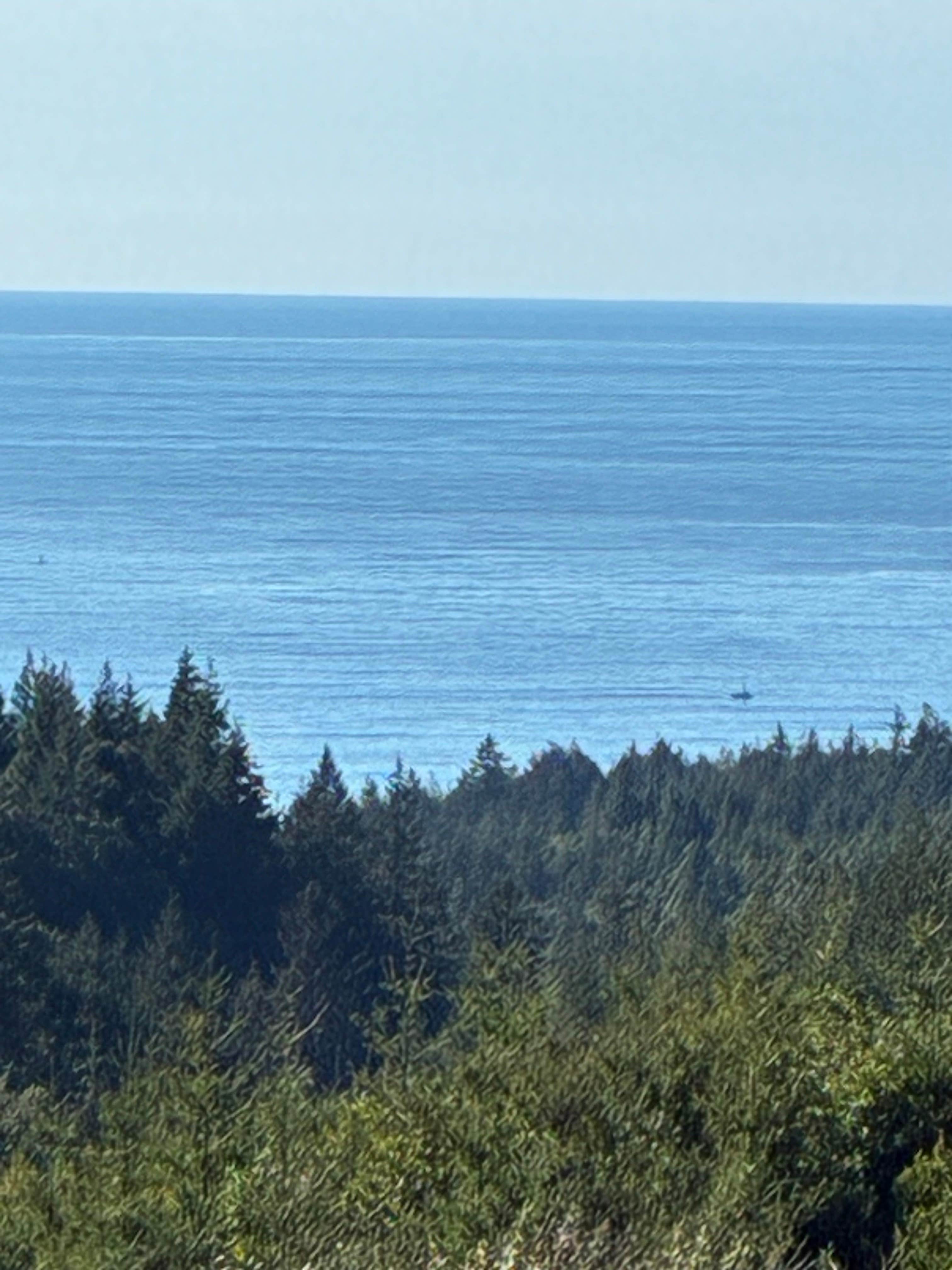 Kathleen S.'s photo of a dispersed camping area at Flat Hilltop Dispersed Site on China Mountain Road near Coos Bay, OR