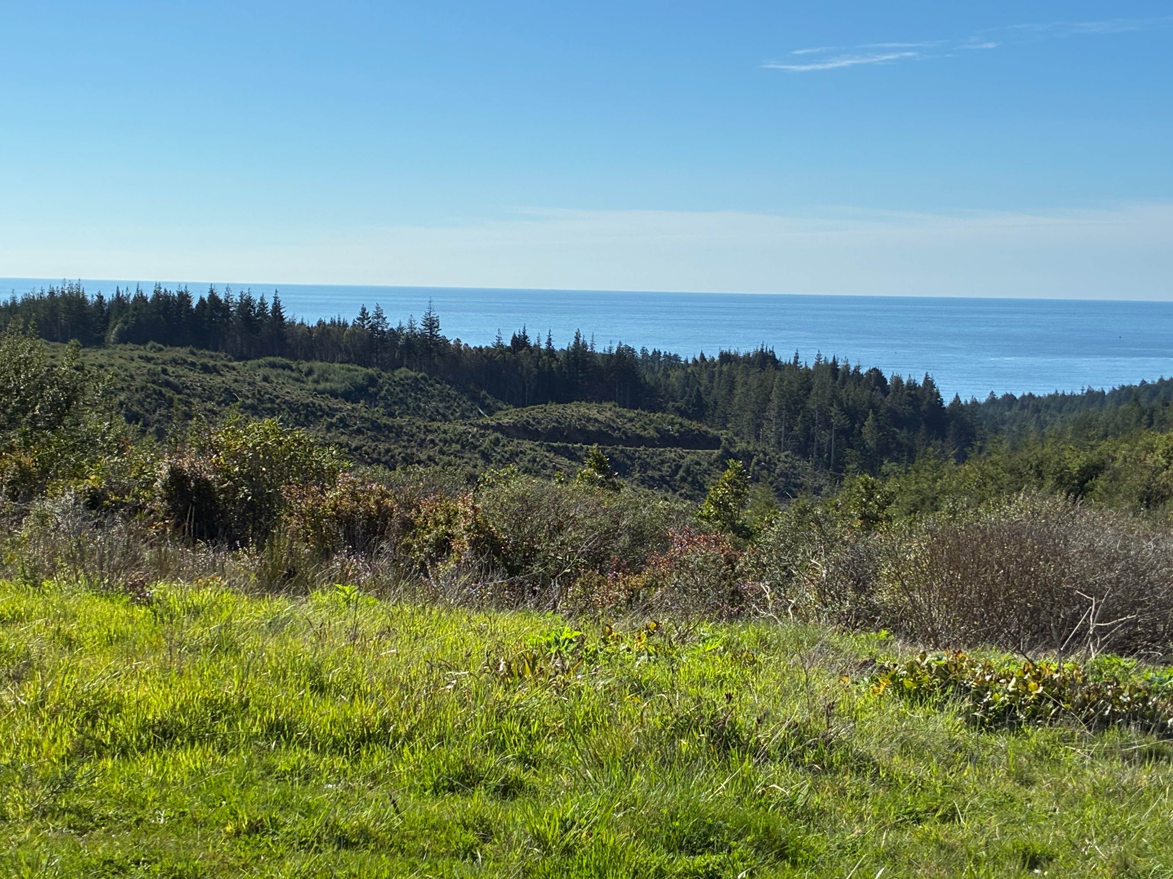 Flat Hilltop Dispersed Site on China Mountain Road