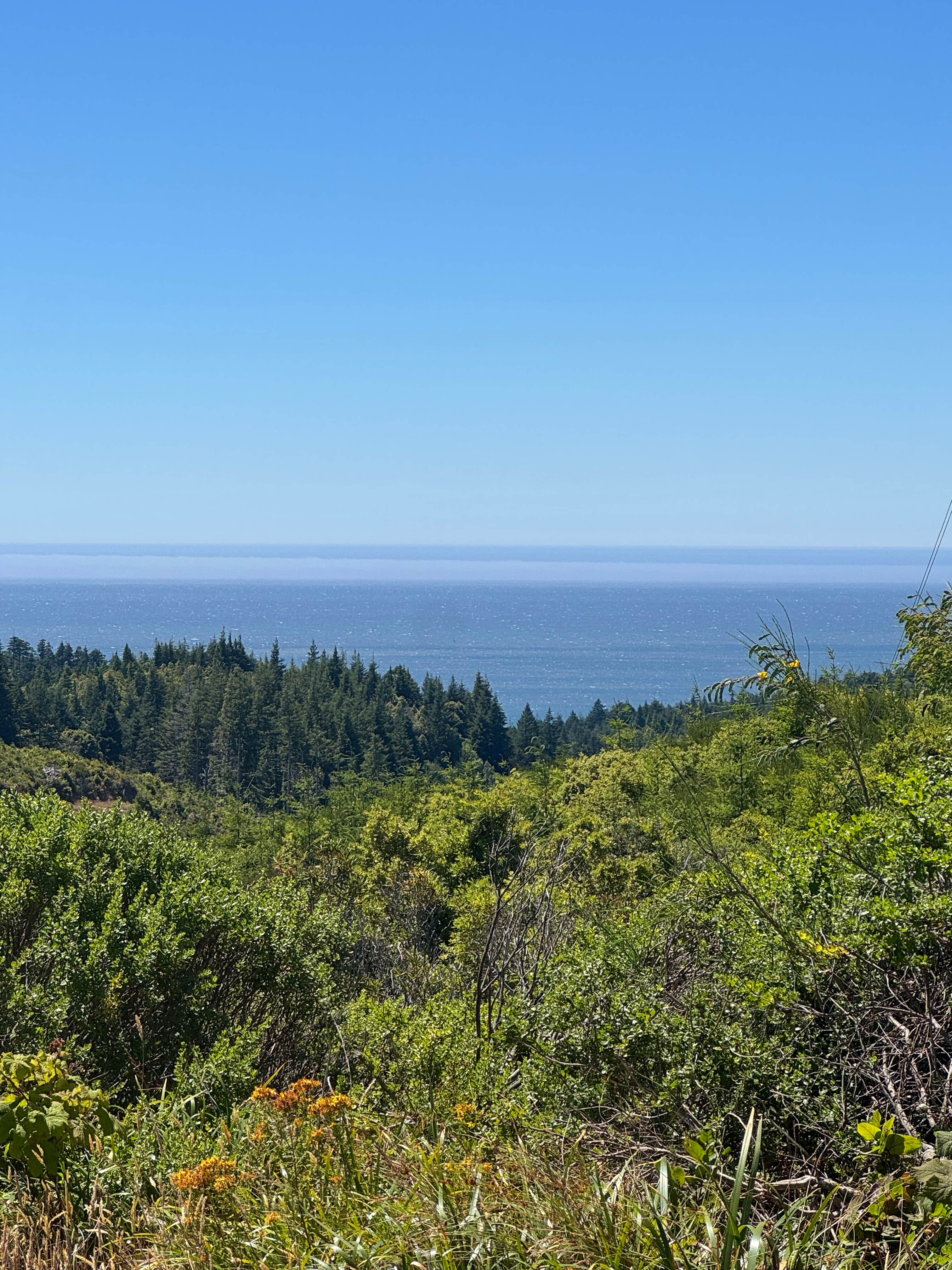 Camper-submitted photo at Flat Hilltop Dispersed Site on China Mountain Road near Sixes, OR