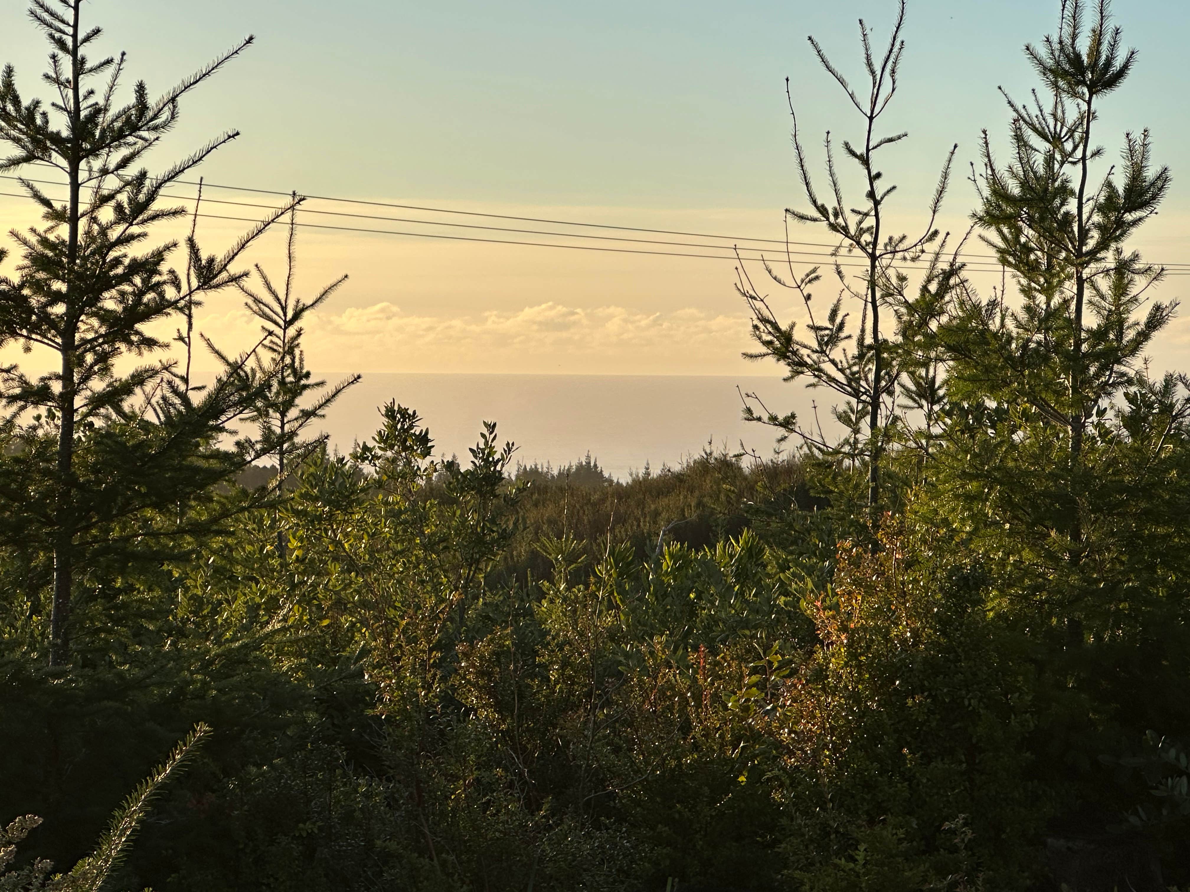 Camper-submitted photo at Flat Hilltop Dispersed Site on China Mountain Road near Port Orford, OR