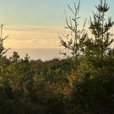 Review photo of Flat Hilltop Dispersed Site on China Mountain Road by Teresa A., January 20, 2026