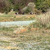 Review photo of Flat Hilltop Dispersed Site on China Mountain Road by Kathleen S., March 20, 2026