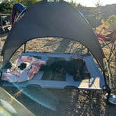 Review photo of Flat Hilltop Dispersed Site on China Mountain Road by Bryant G., August 14, 2025