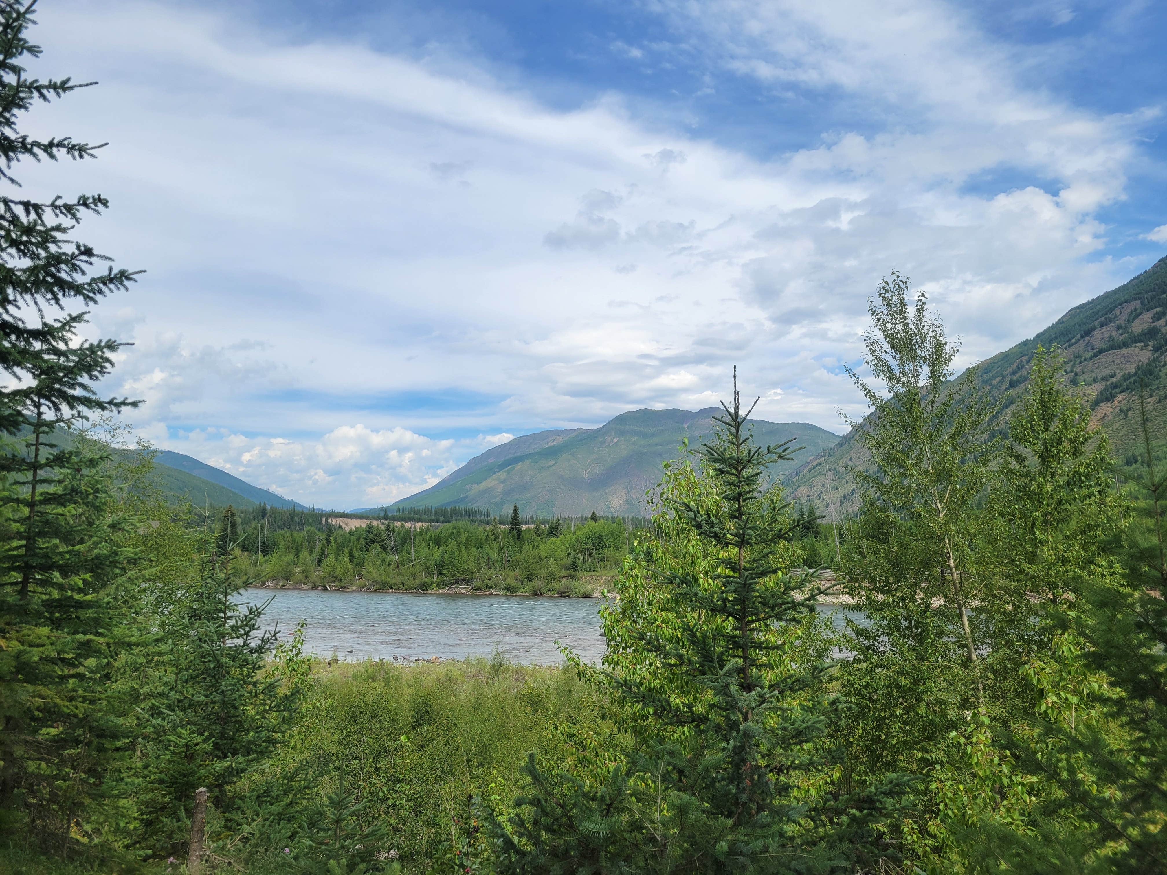 goose10091203's photo of a dispersed camping area at Flathead River Camp near Columbia Falls, MT
