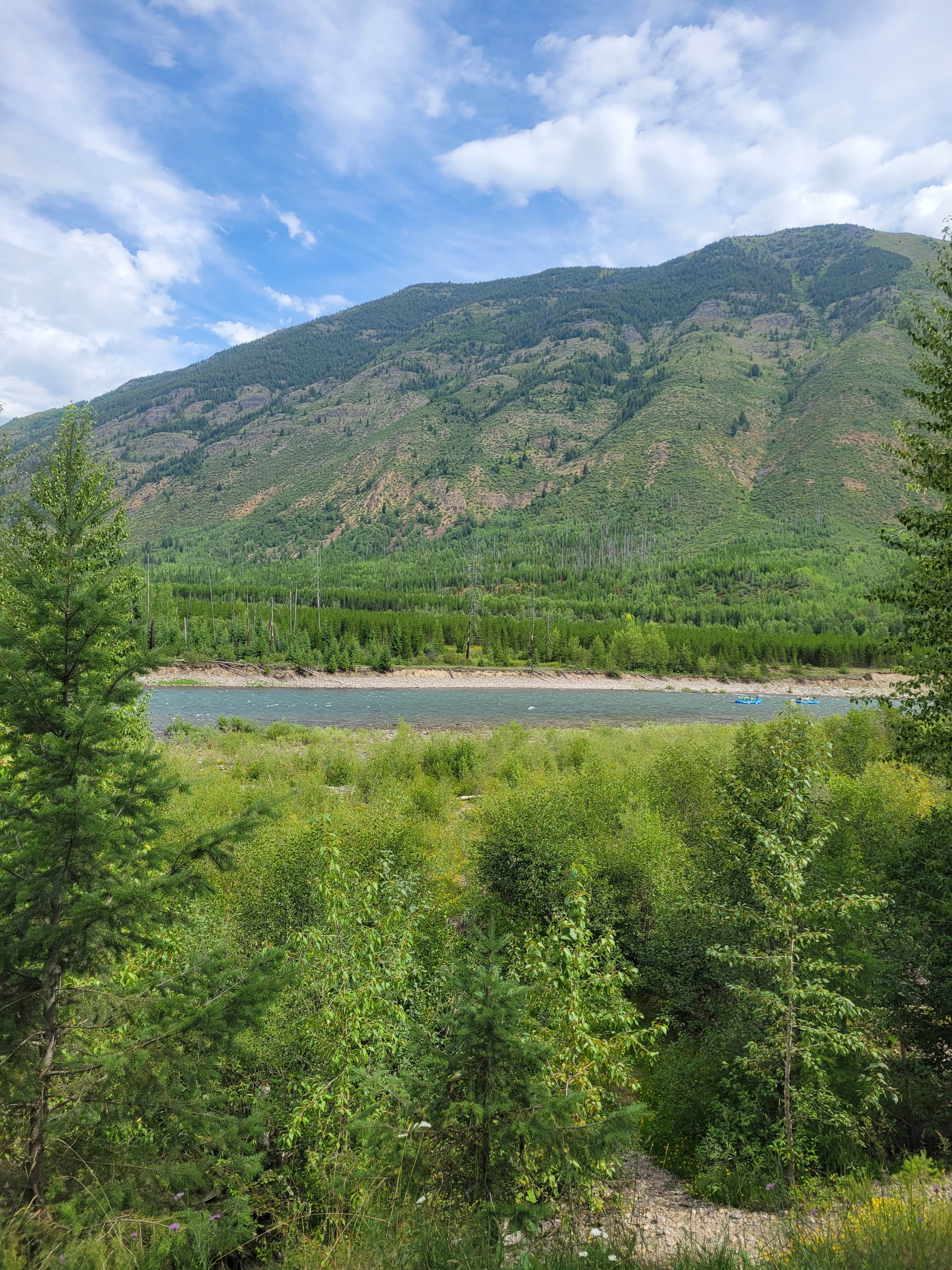 Camper-submitted photo at Flathead River Camp near Glacier National Park