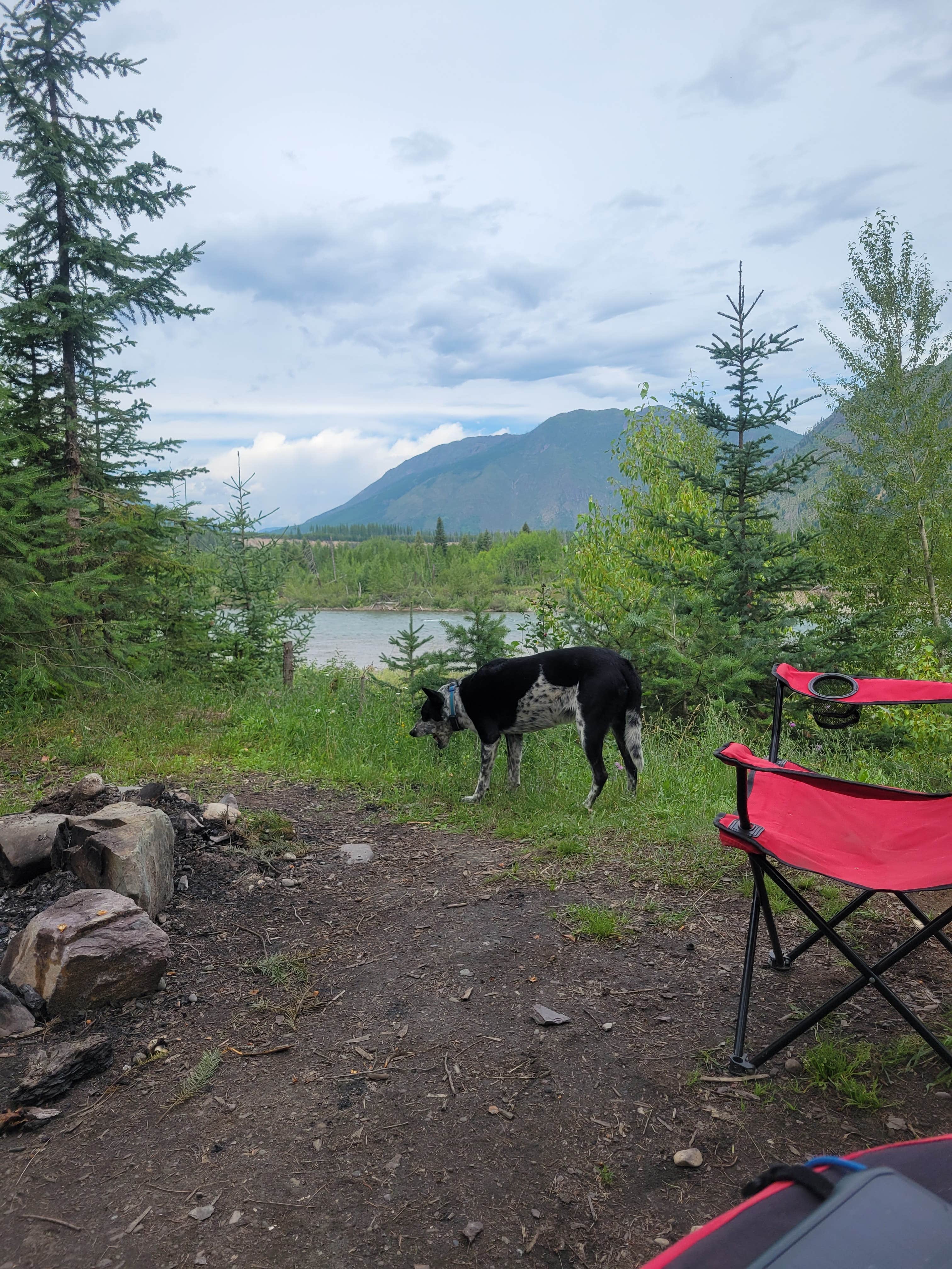 Camper submitted image from Flathead River Camp - 1