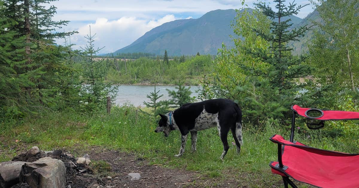Flathead River Camp