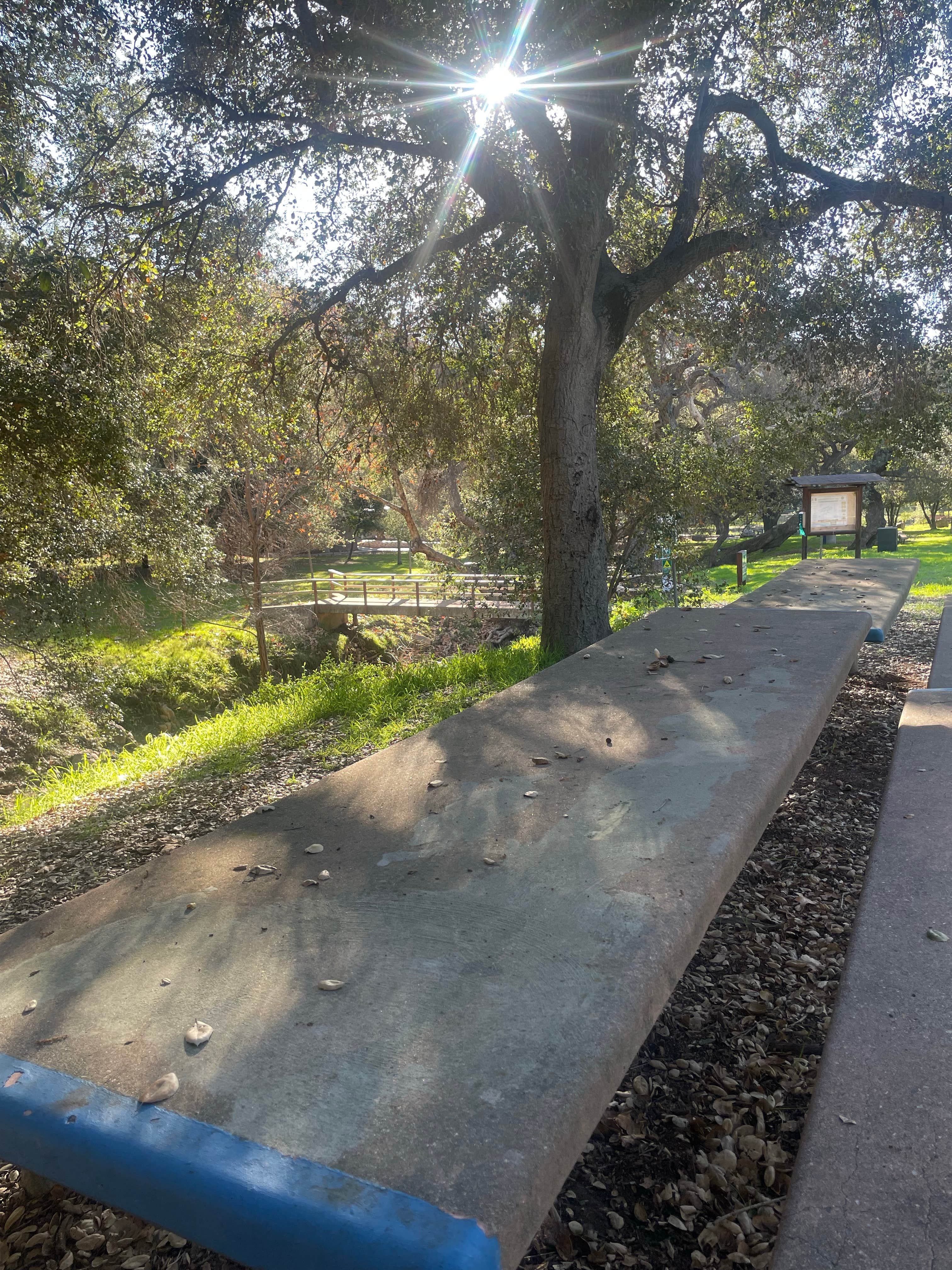 Camping near Santee Lakes Recreation Preserve: Flinn springs county park, Lakeside, California