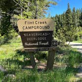 Review photo of Flint Creek Campground by Martijn D., June 14, 2024