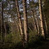 Review photo of Flint Ridge Backcountry Site - Redwood National and State Park by avery R., September 22, 2025