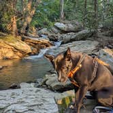 Review photo of Flintlock Campground by Leo S., July 9, 2025