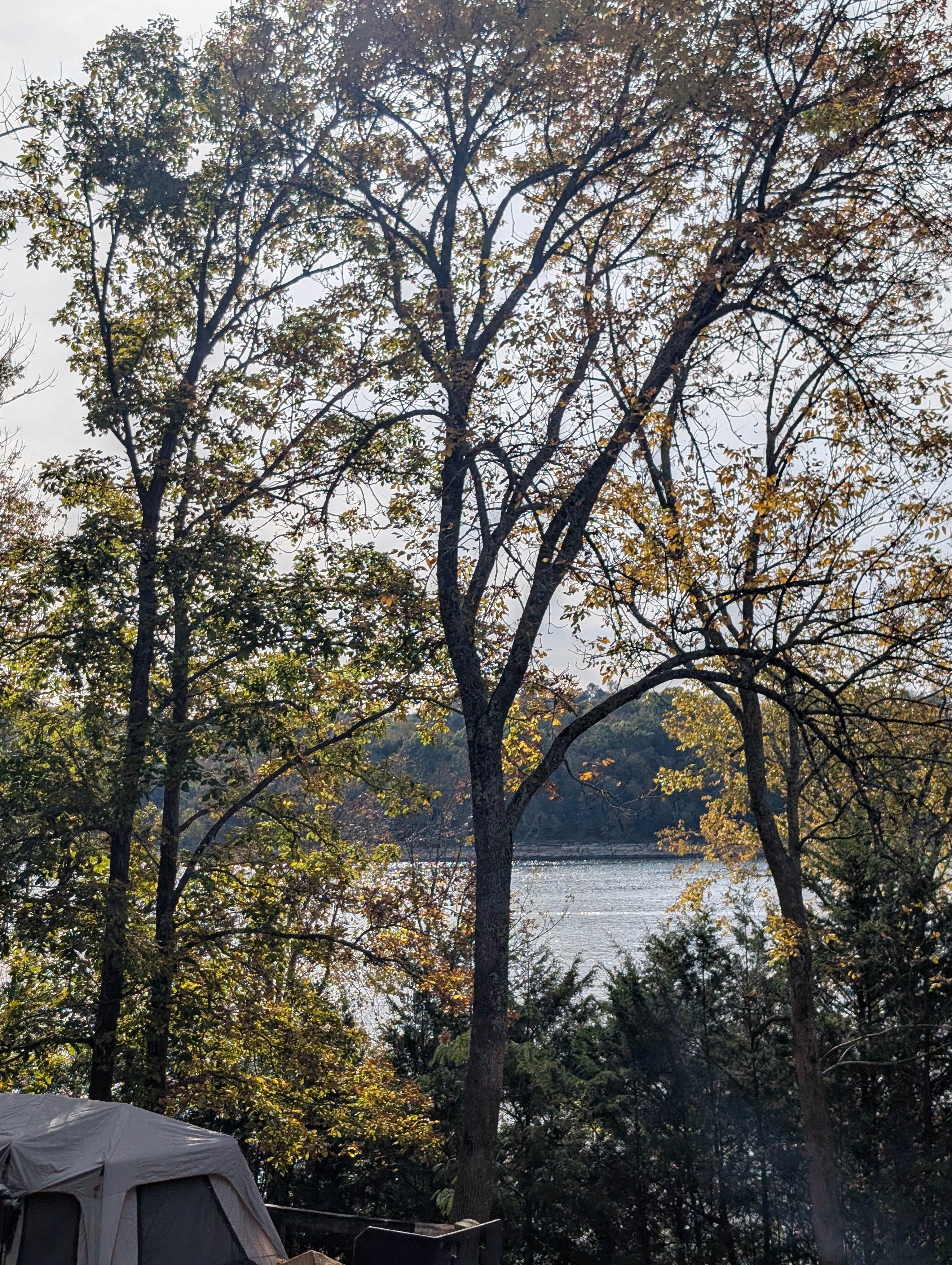 Leah J.'s photo at Floating Mill - Center Hill Lake near Smithville, TN