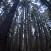 Review photo of Florence Keller Campground by James B., October 19, 2026